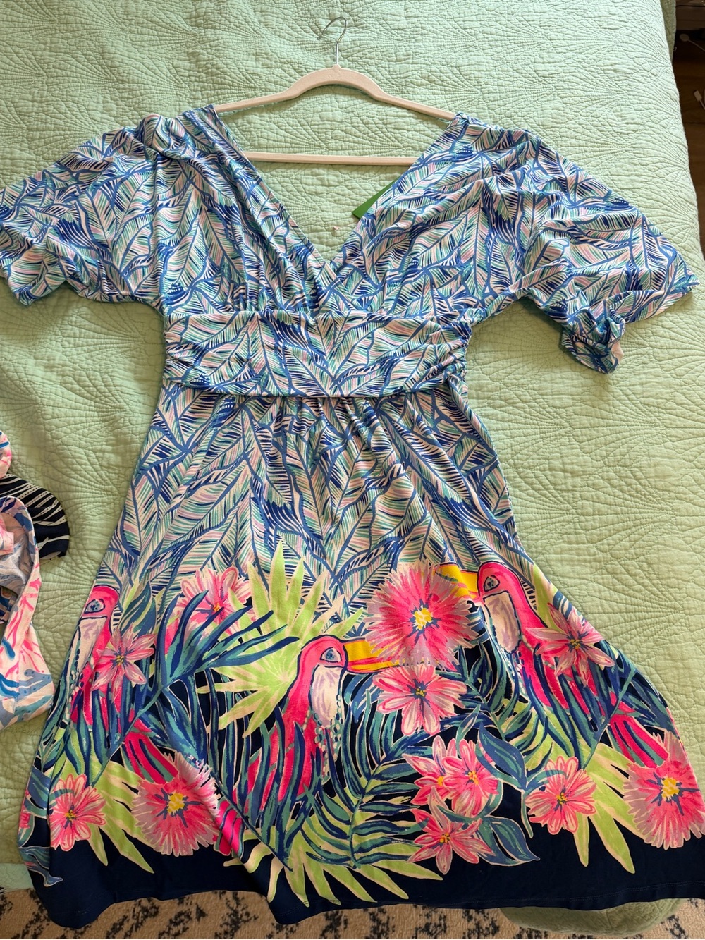 Lilly Pulitzer Parigi dress
